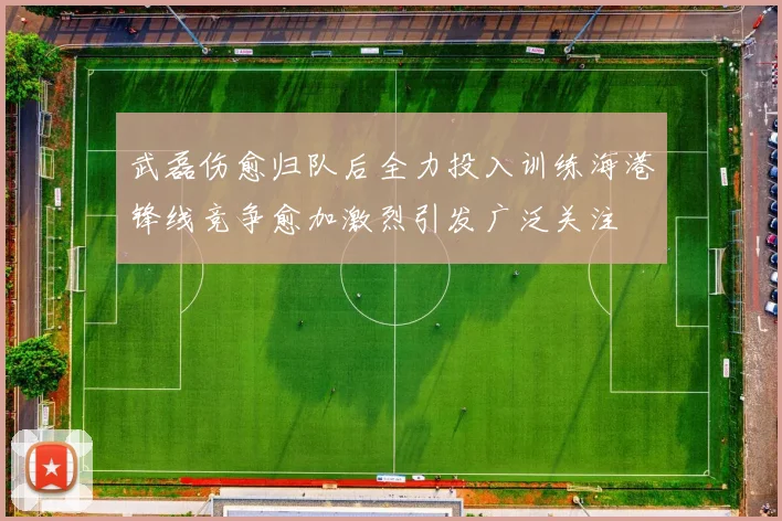 武磊伤愈归队后全力投入训练海港锋线竞争愈加激烈引发广泛关注