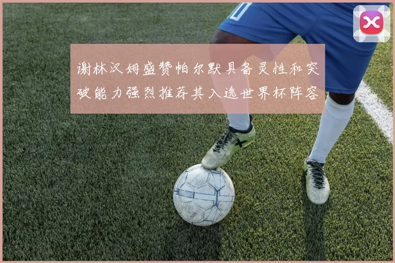 谢林汉姆盛赞帕尔默具备灵性和突破能力强烈推荐其入选世界杯阵容