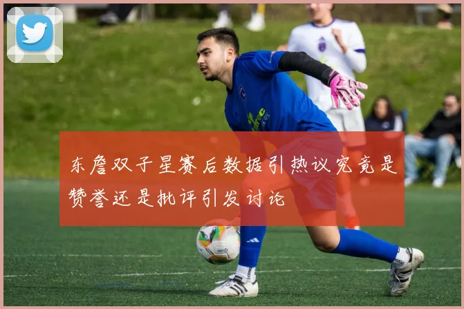 东詹双子星赛后数据引热议究竟是赞誉还是批评引发讨论